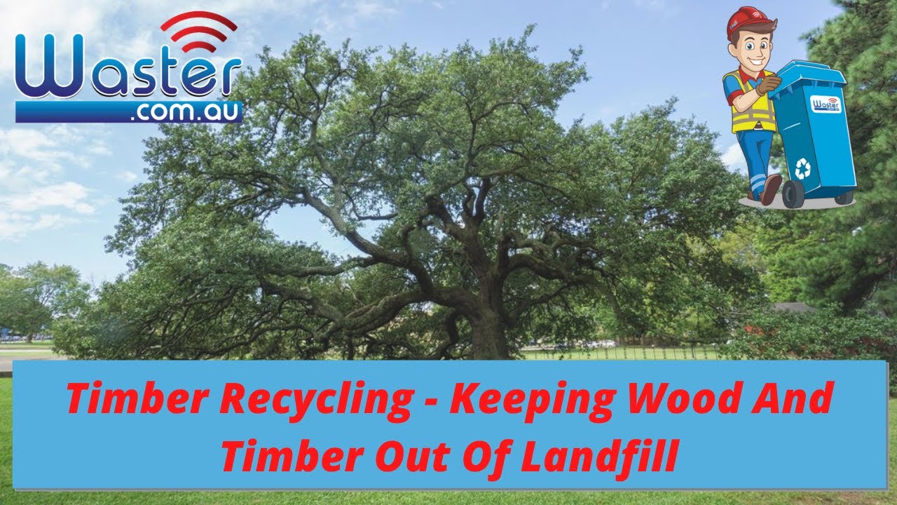 Timber Recycling 🌳 How To Recycle Wood And Timber