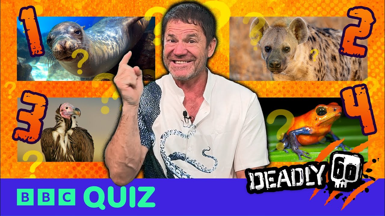 Guess the Animal Quiz 🐾 | Deadly 60 | FOUR Animals, ONE Fact! | CBBC