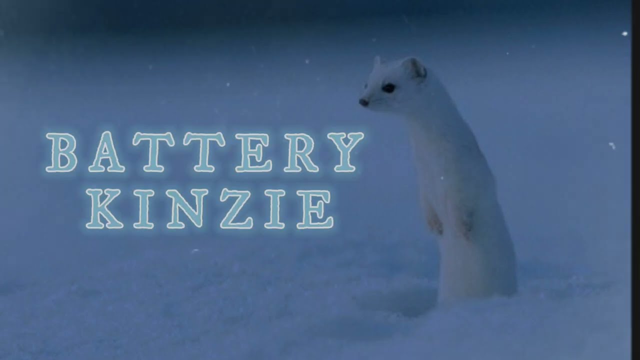 BATTERY KINZIE || sub español/lyrics 🌼 Fleet Foxes
