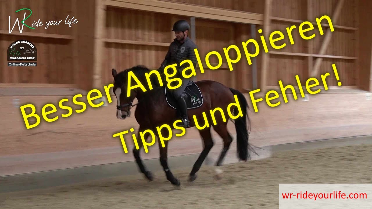 F150 Im Galopp st&uuml;rmende Pferde korrigieren und das Angaloppieren verbessern. Besser galoppieren
