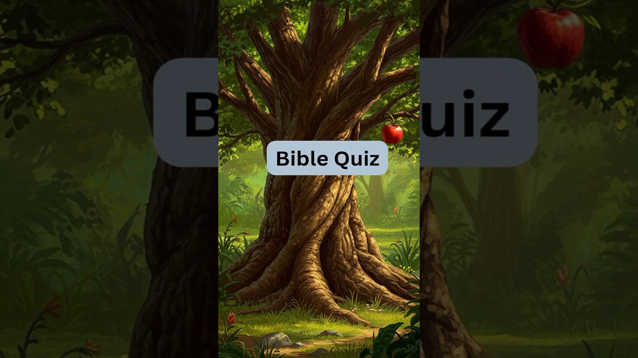 Bible Quiz Questions and Answers