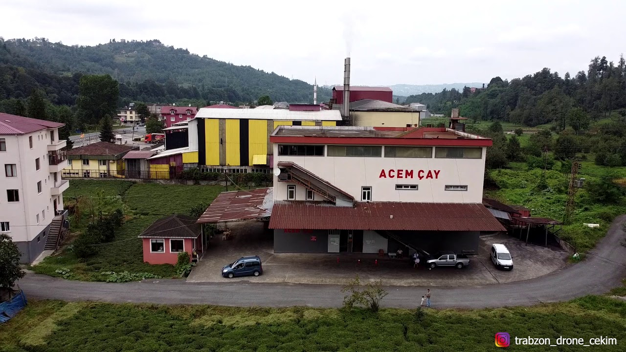 ACEM ÇAY