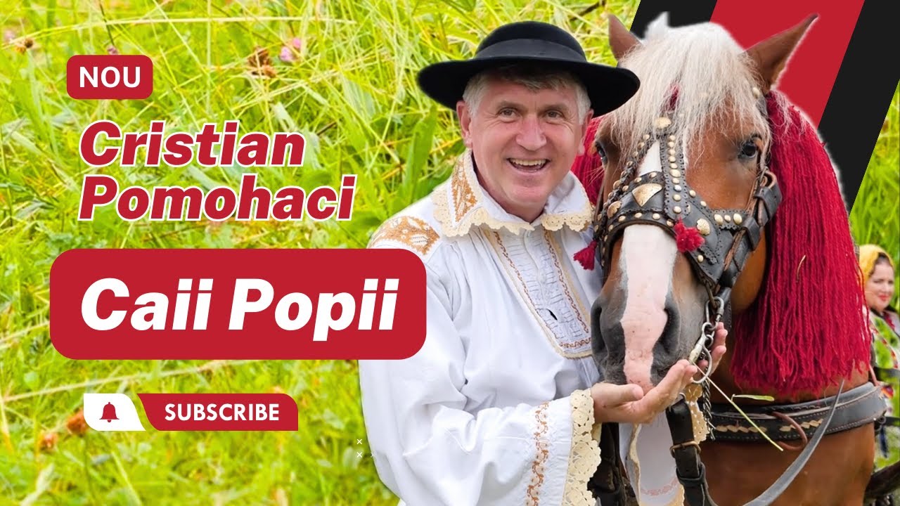 [OFICIAL] Cristian Pomohaci - Caii Popii