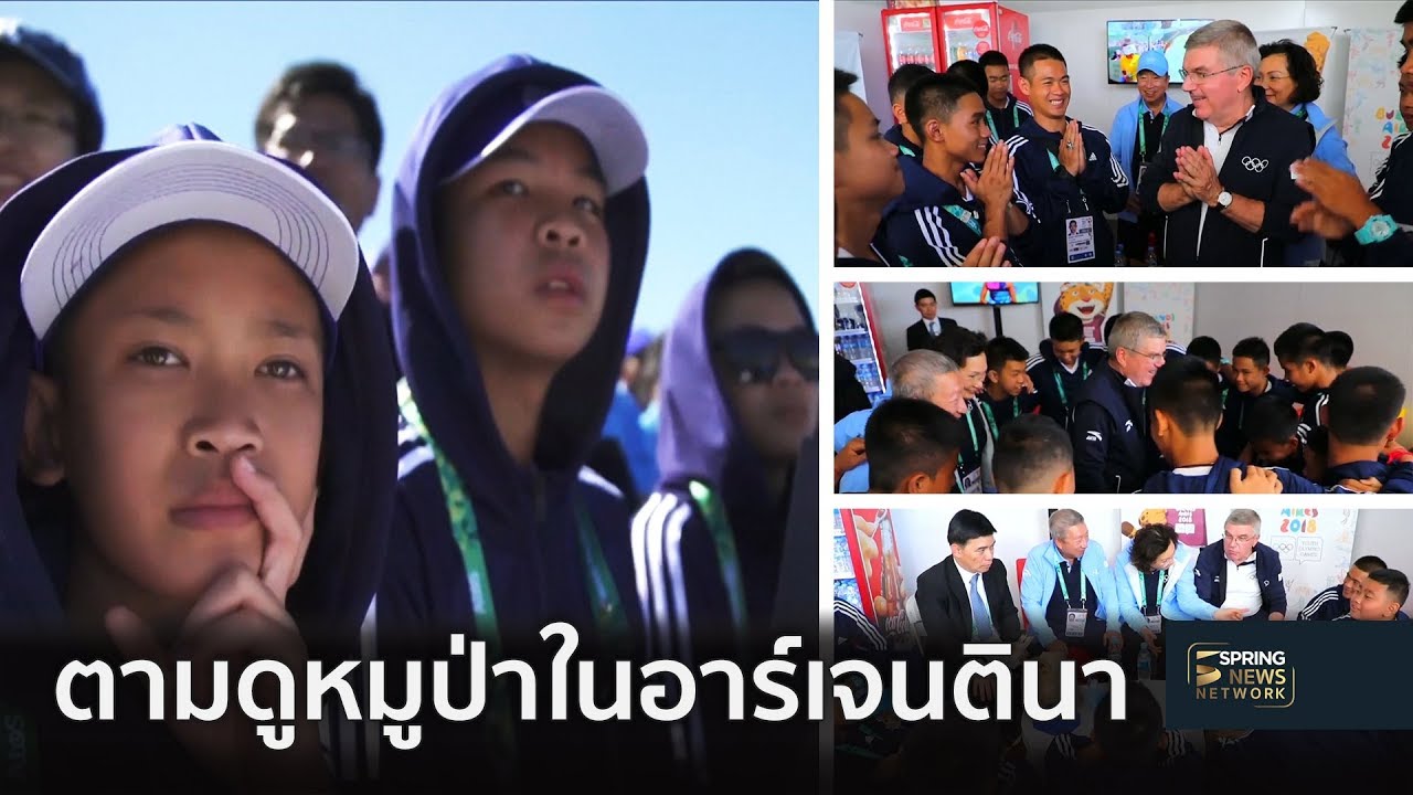 ตามดูหมูป่าในอาร์เจนตินา | Springnews