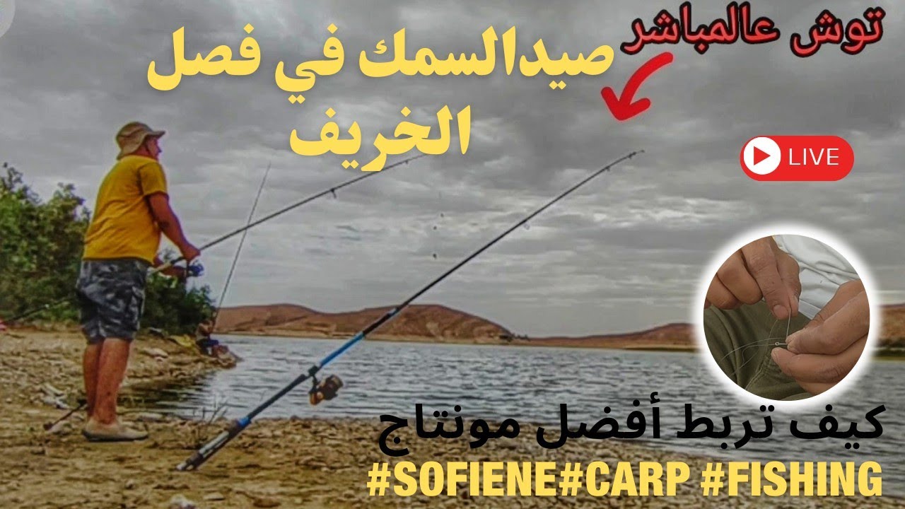 صيد السمك في فصل الخريف #fishing #sofiene #carp