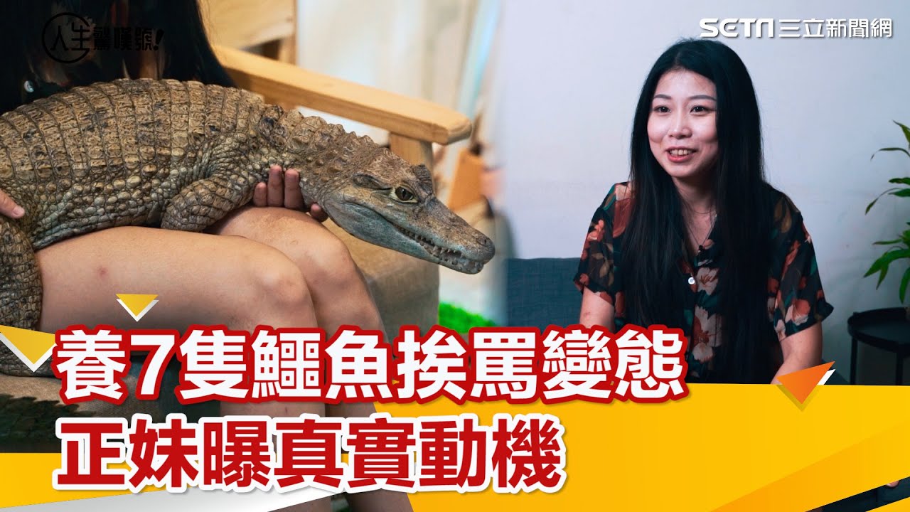 養鱷正妹／養7隻鱷魚、土撥鼠挨罵冷血變態　她曝真實動機｜三立新聞網 SETN.com @crocosashimi