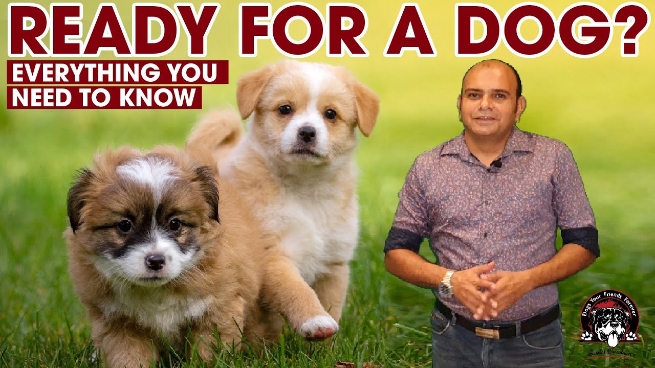 Ready For a New Puppy Dog? Owning a Dog Breed || Adopting a Puppy (Dog Pet Care) || Baadal Bhandaari