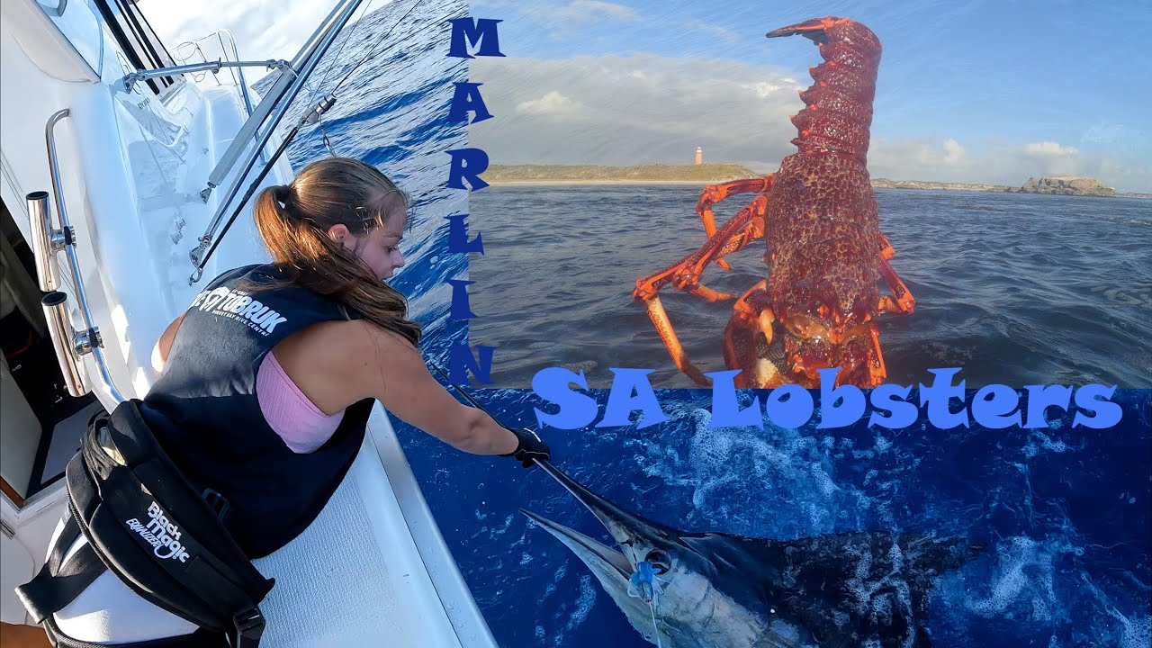 SA Lobster, Marlin and good yarns