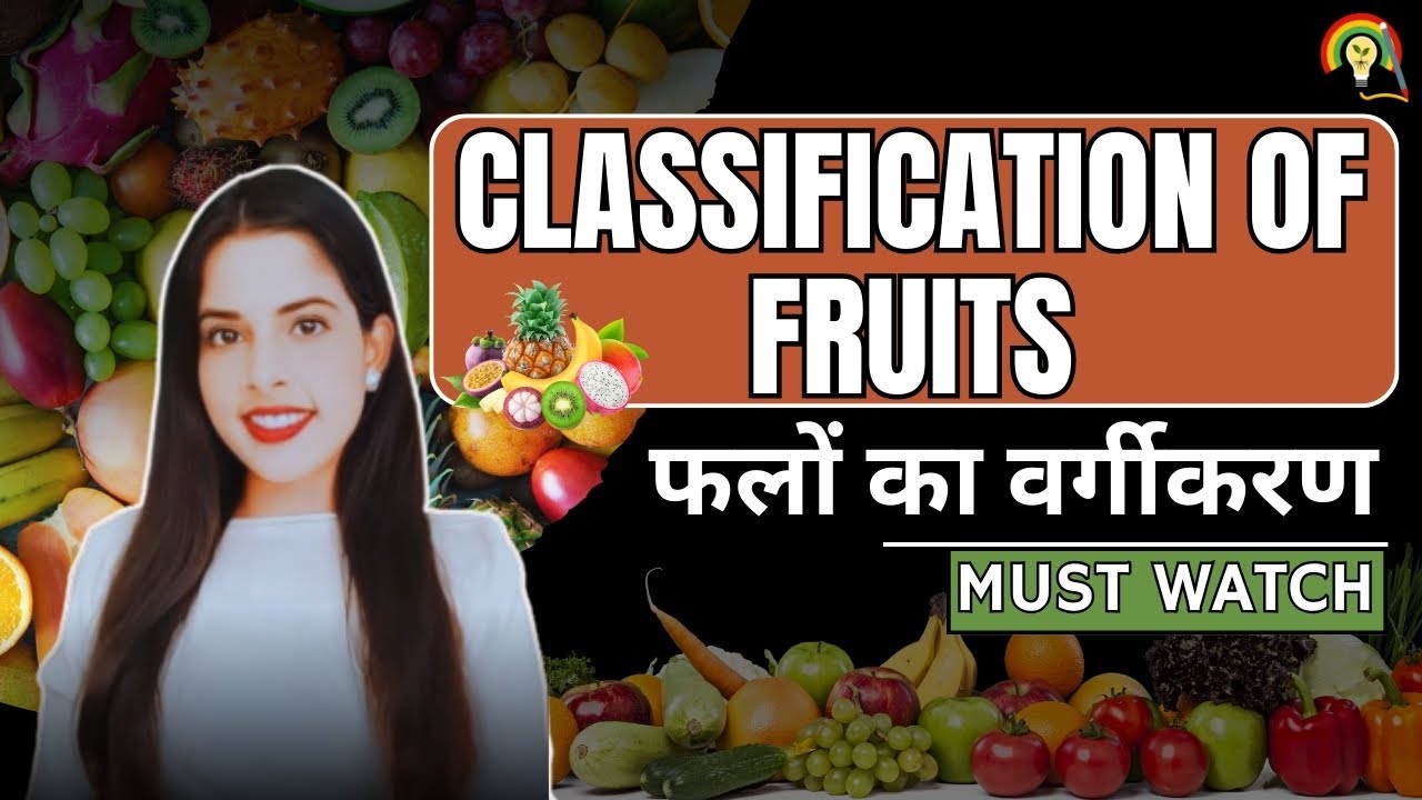 CLASSIFICATION OF FRUIT | FRUITS CLASSIFICATION| Types Of Fruits.