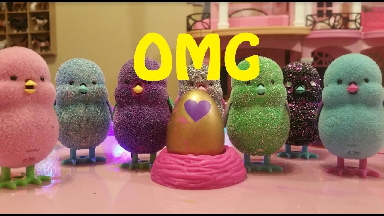 RARE LITTLE LIVE CHICKS WAIT FOR RARE GOLDEN HATCHIMALS COLLEGGTIBLES EGG TO HATCH