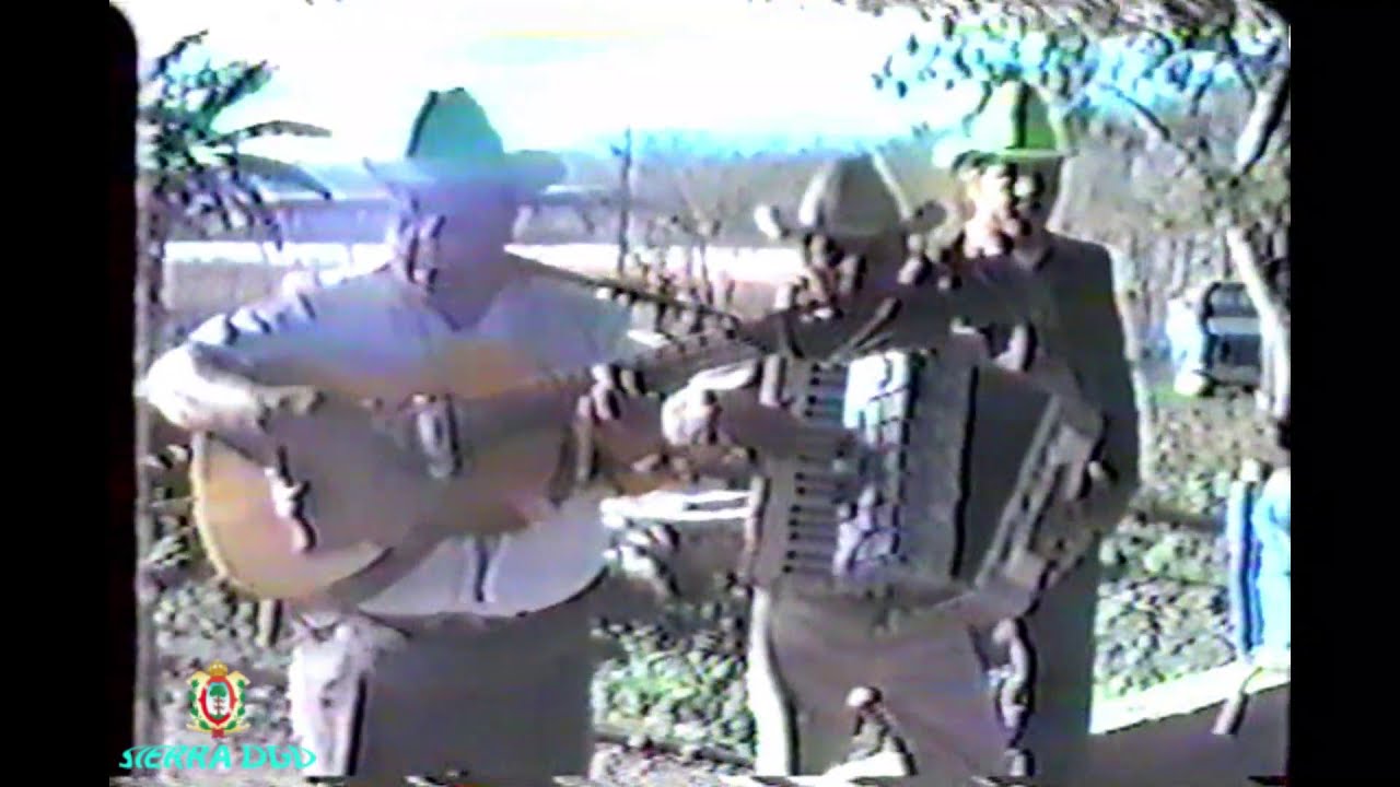 Entre Cortinas Blancas - Los Broncos De Reynosa