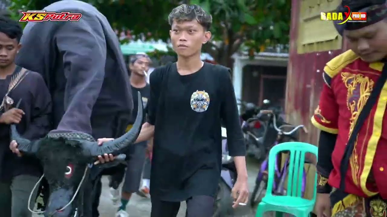 ATRAKSI KEBO IDEP - YANG SEMOK 