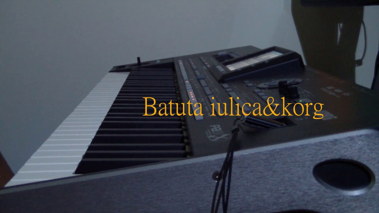 KORG Pa3X & Batuta