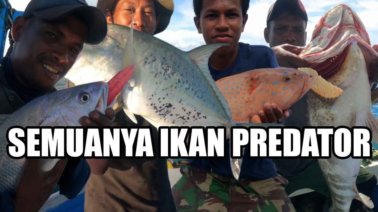 Spot yang dihuni oleh ikan predator.