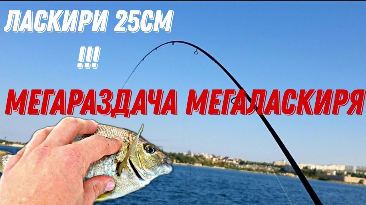 Вайа, Мага, это что за ласкирь?!! Попал на раздачу крупного ласкиря!Ultralight/Rockfishing/микроджиг