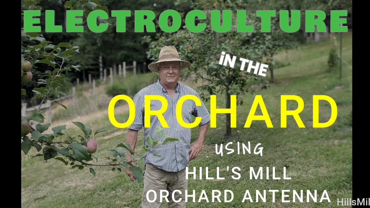 ELECTROCULTURE ORCHARD ANTENNA   #ORCHARDANTENNA #ELECTROCULTURE #PLANTSURGE