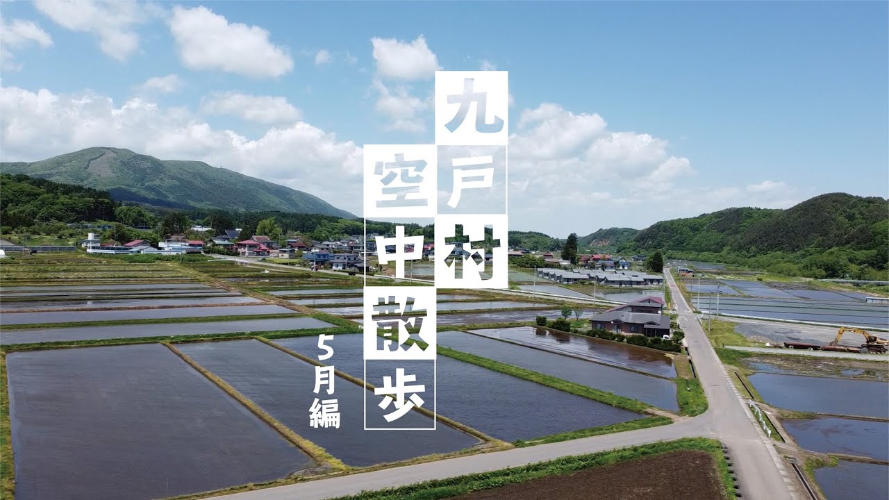 【くのへドローン】九戸村空中散歩　５月編