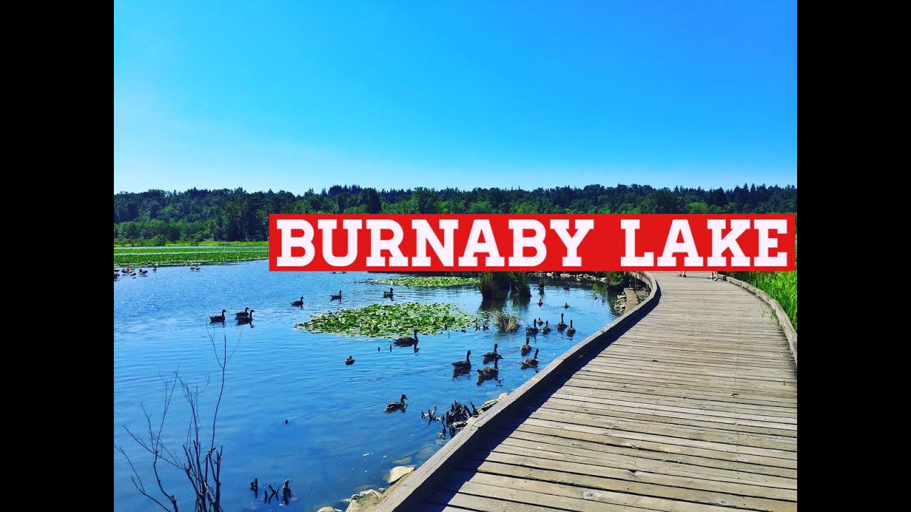 Burnaby Lake | Burnaby Lake Regional Park | British Columbia