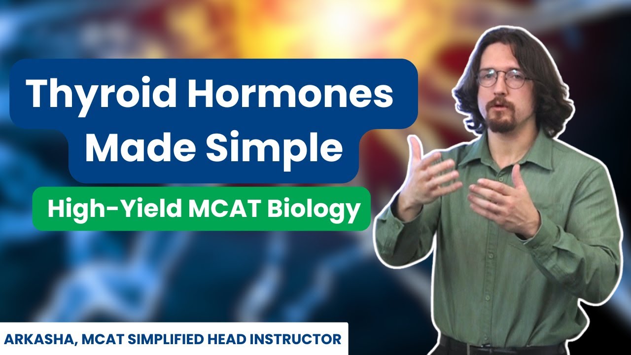Thyroid Hormones Made Simple | High-Yield MCAT Biology