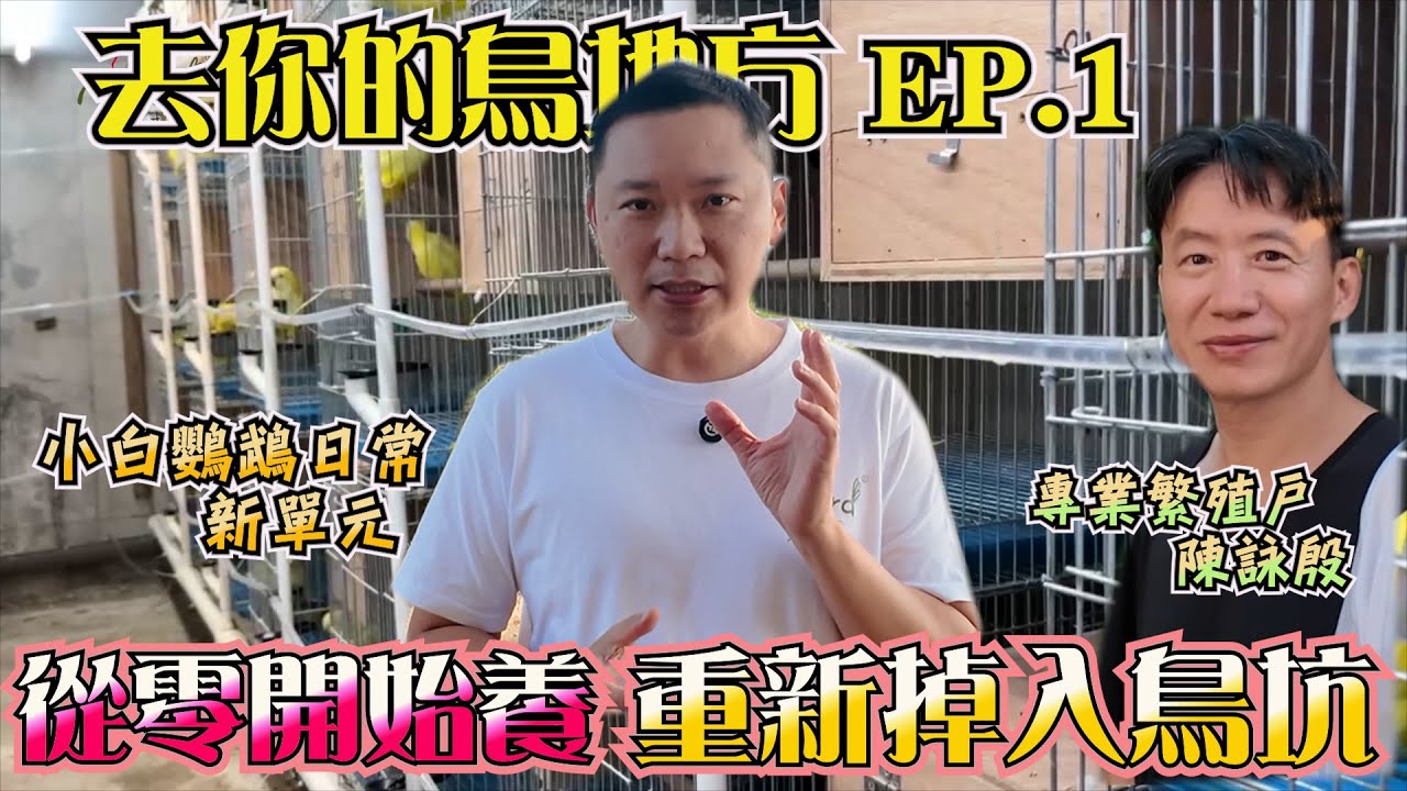 原來鳥籠可以這樣做！陳詠殷繁殖戶示範DIY超實用設計｜去你的鳥地方 EP1