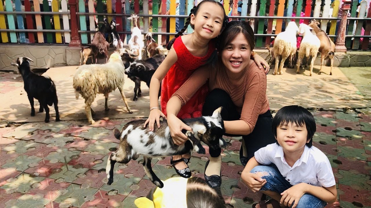 Stin Dâu Thăm Trang Trại Nuôi Dê & Cừu (^_^) Stin Dâu Đi Khu Vui Chơi