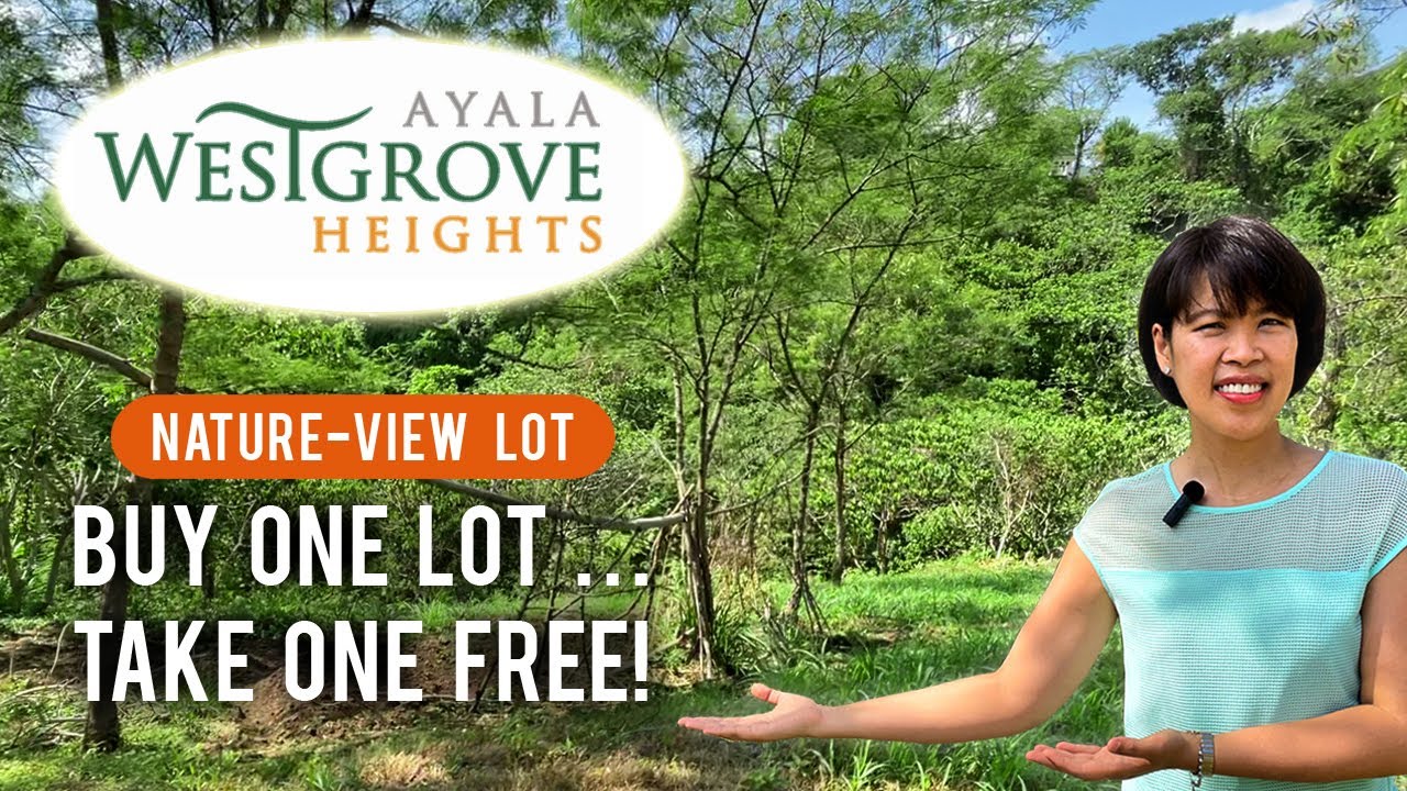 Property Tour &bull; Buy One Take One for Free Vacant Residential Lot for Sale at Ayala Westgrove Heights