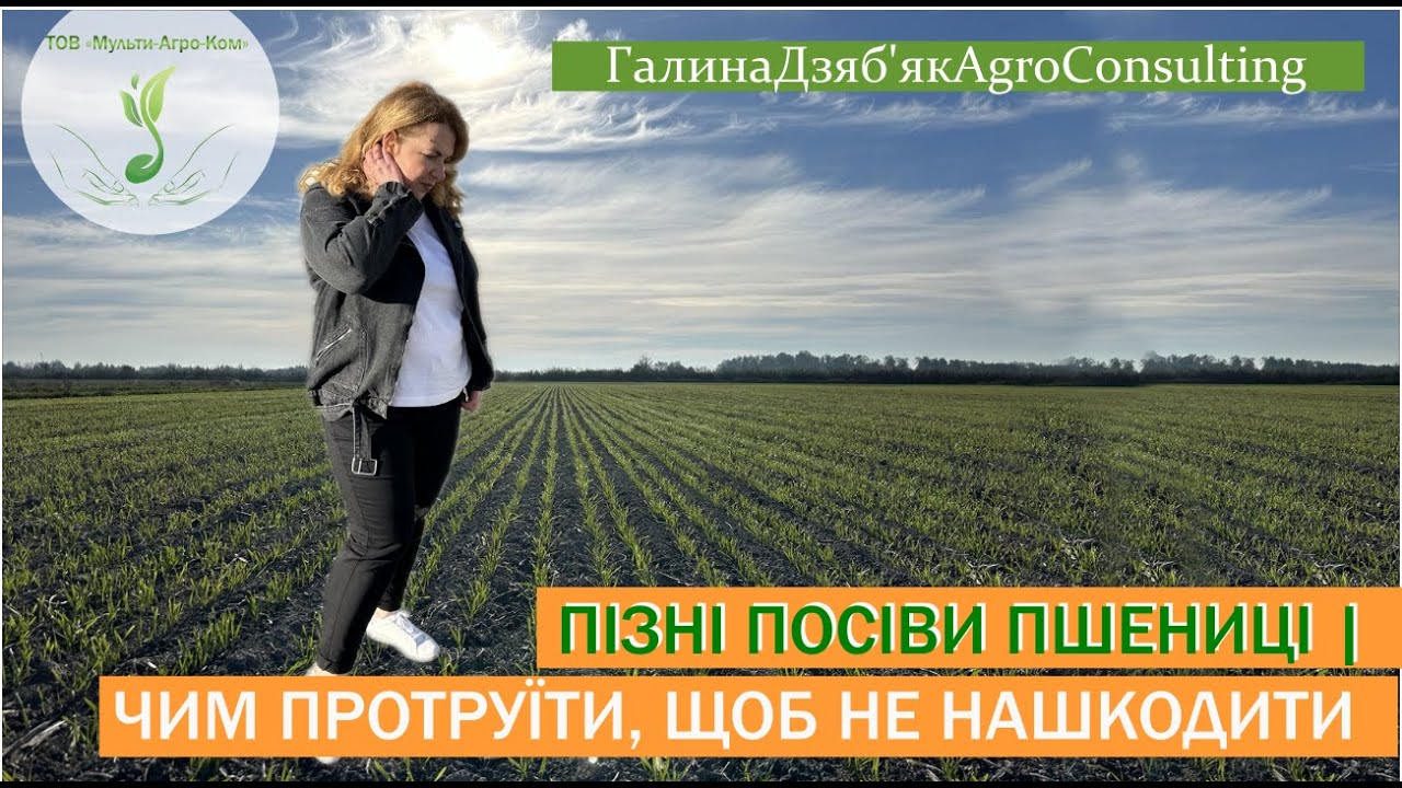 Обираємо триазоли,  даємо фосфор, розвиваємо кореневу систему