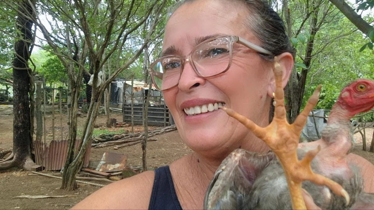 MEU PLANTEL POR DENTRO! Dicas para VENDER galinhas rápido + Pintinho RARO com 5 dedos 😱🐔