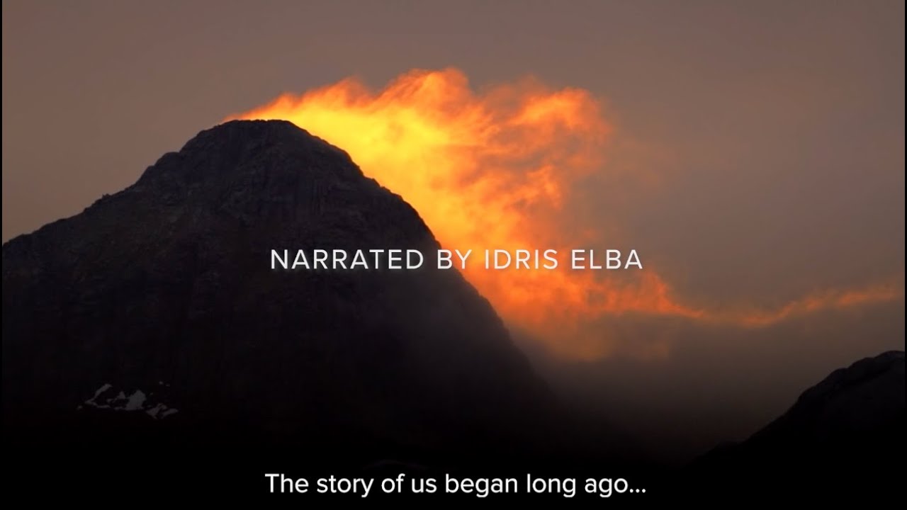 The Story of Us