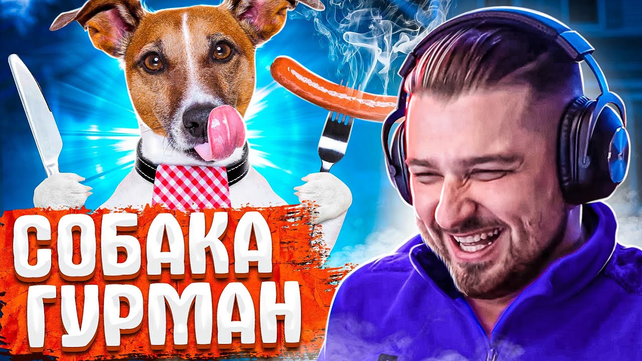 HARD PLAY СМОТРИТ ЛУЧШИЕ ПРИКОЛЫ / РЕАКЦИЯ ХАРД ПЛЕЙ СМЕШНЫЕ ВИДЕО, ТЕСТ НА ПСИХИКУ, ЮМОР, COUB