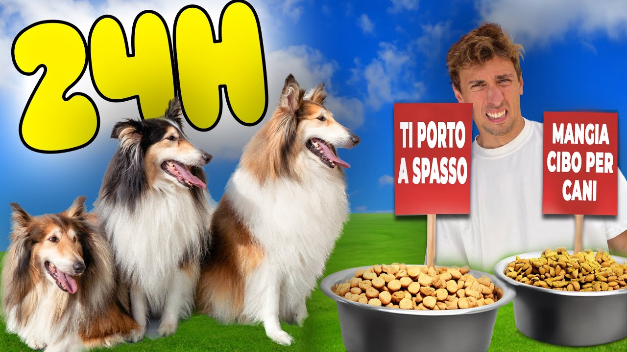 I MIEI CANI CONTROLLANO la MIA VITA per 24 ORE