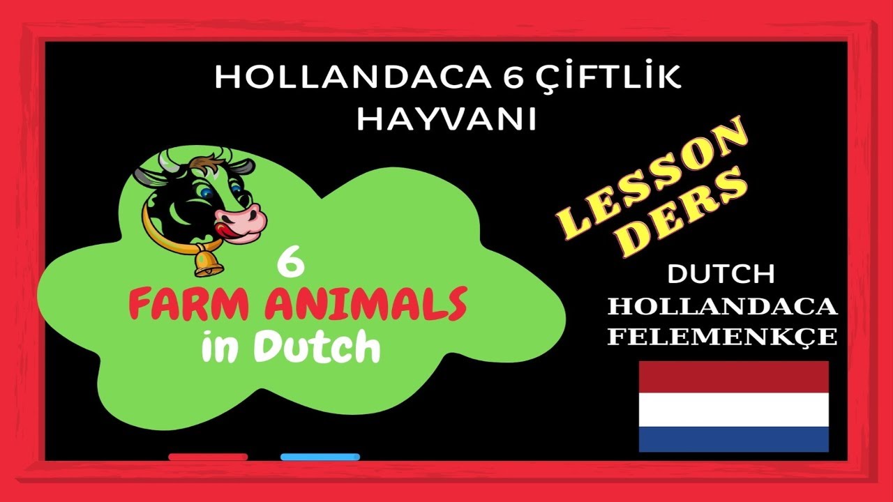 6 Farm Animals in Dutch Hollandaca Çiftlik Hayvanları İsimleri SosyalRobot Eğitim Education Lesson
