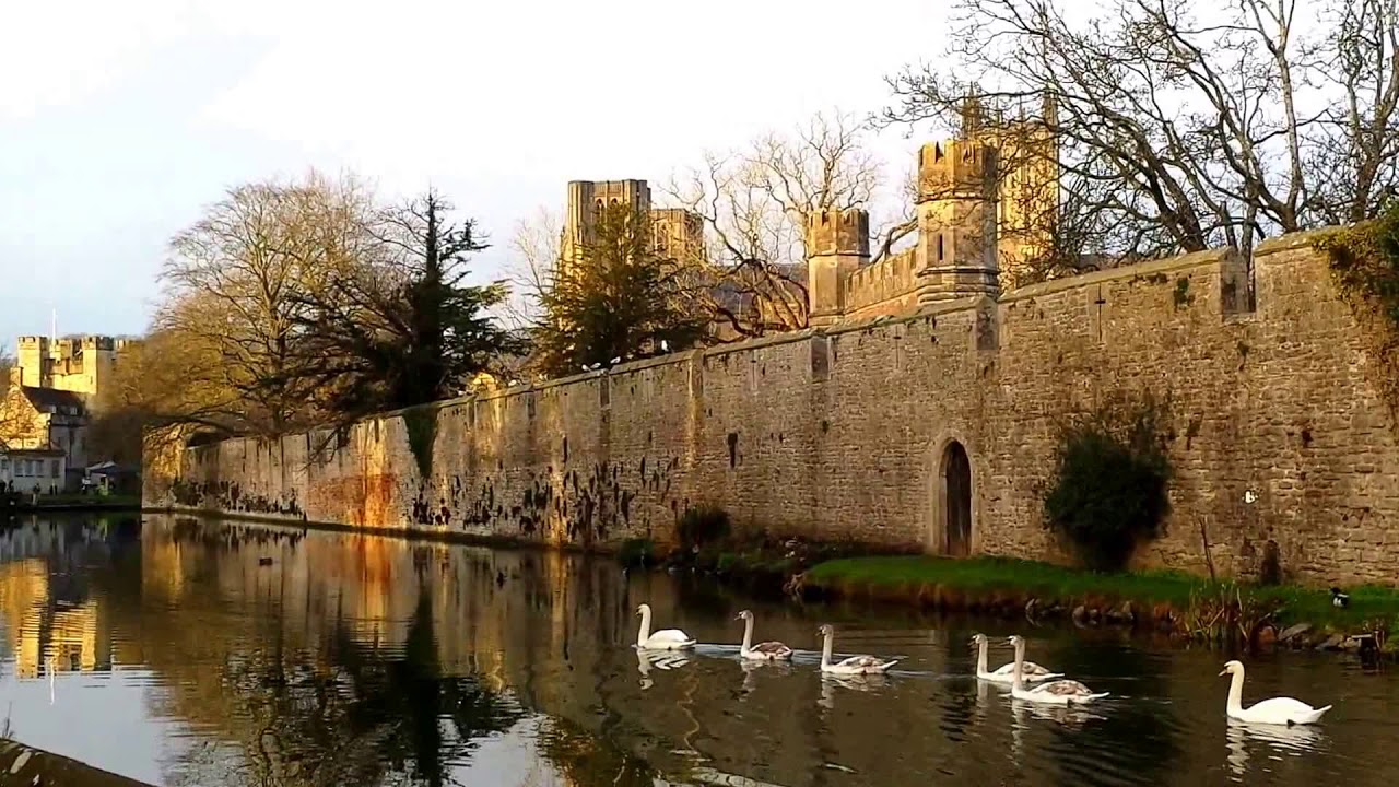 The Swans of 'Bishop's Palace' & 'Wells Cathedral' - Somerset, UK