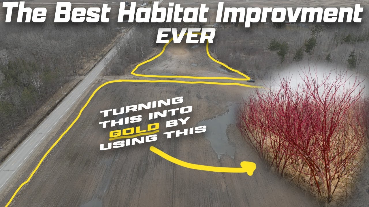 THE BEST HABITAT IMPROVEMENT FOR YOUR DEER!!!(Say no to farmers!!)
