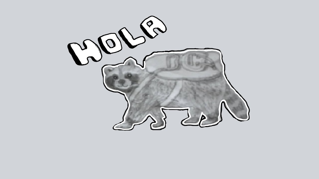 como dibujar un mapache realista