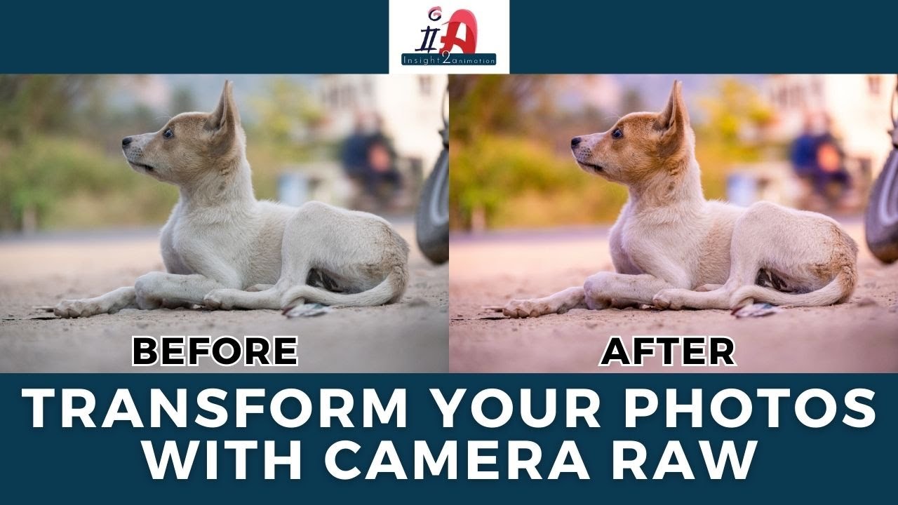Adobe Camera RAW 15.2 and Basic Panel