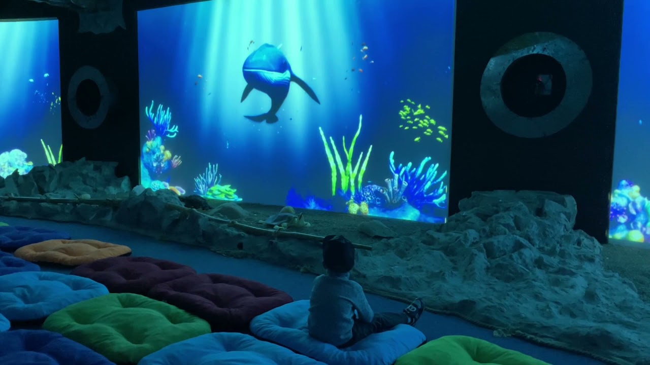 SEA PARK SARBSK - ZAPRASZAMY DO MIEJSCA, W KTÓRYM NAUKA BAWI, A ZABAWA UCZY 🐋🦭🐋🦭