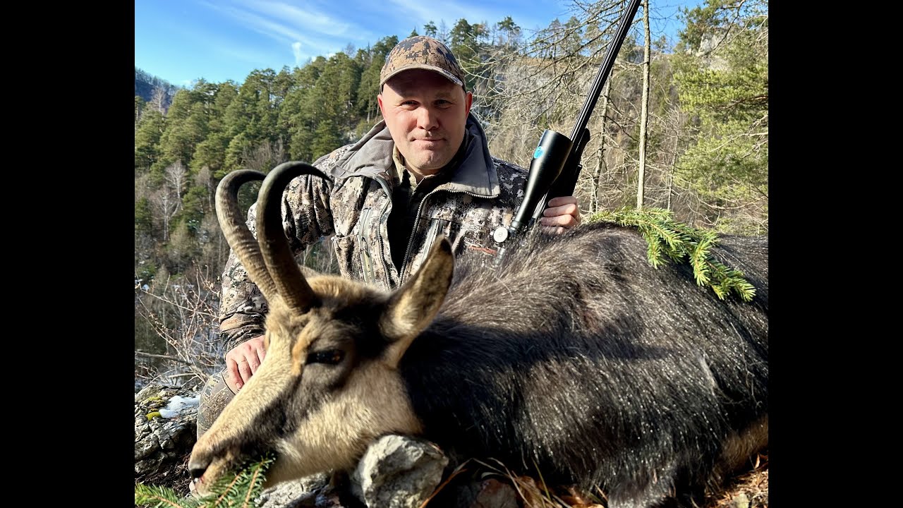Low Tatra Chamois hunting in Slovakia 2025