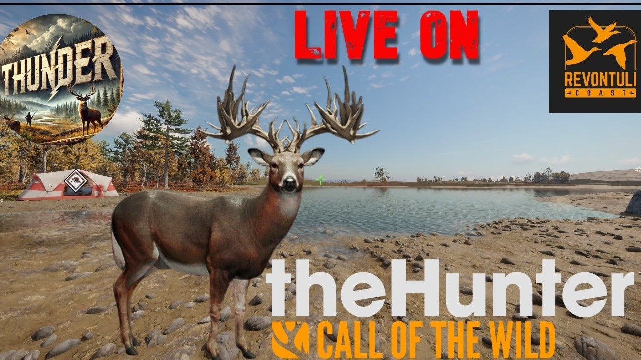90 Abates no Grind de Cauda Branca - The Hunter Call of the Wild