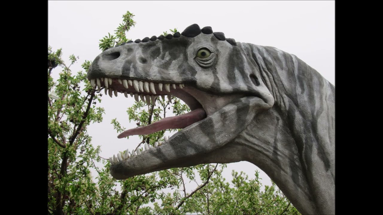 Opposite of Blink 'Dinosaur National Monument Plus (Utah Rocks, Bones and Art)' Best of OoB 22