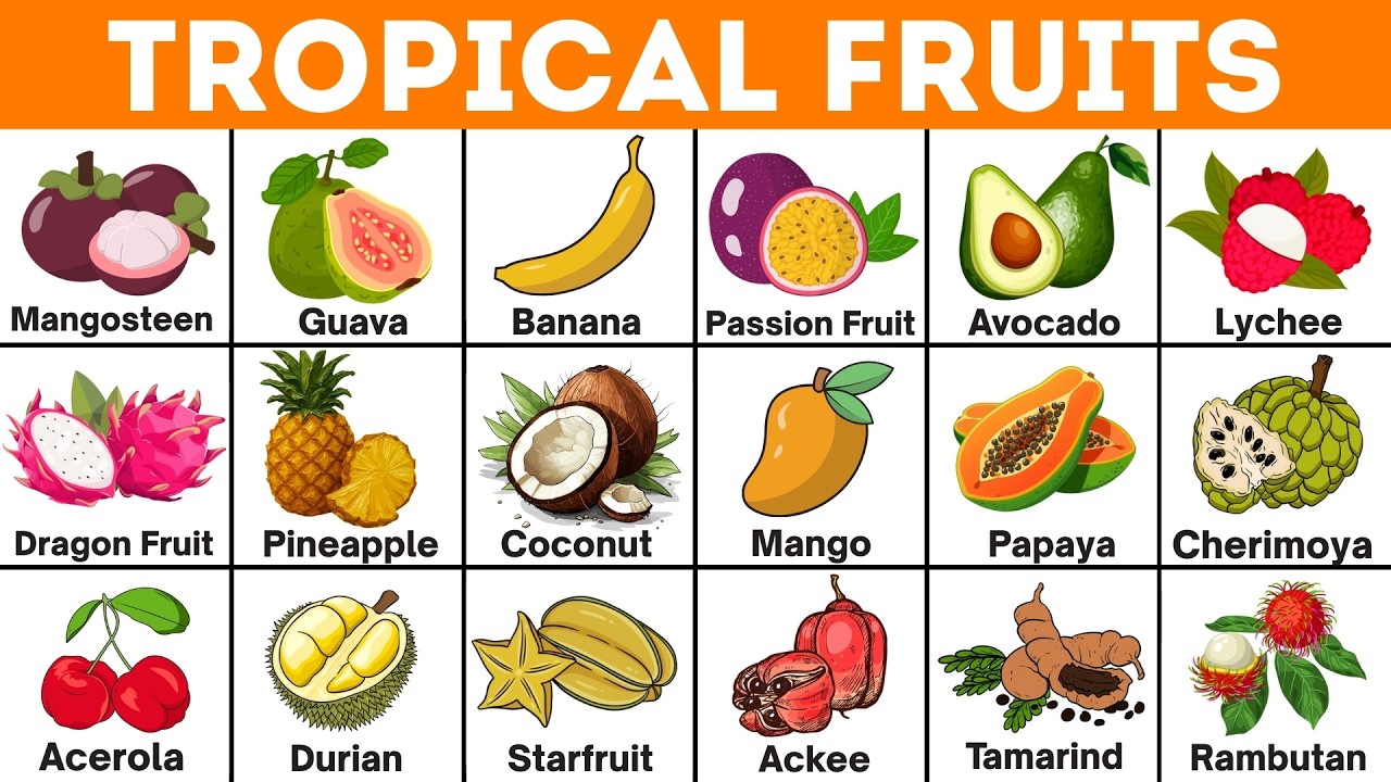 Tropical Fruits Name | Fruits Vocabulary | Names of Tropical Fruits | English Vocabulary