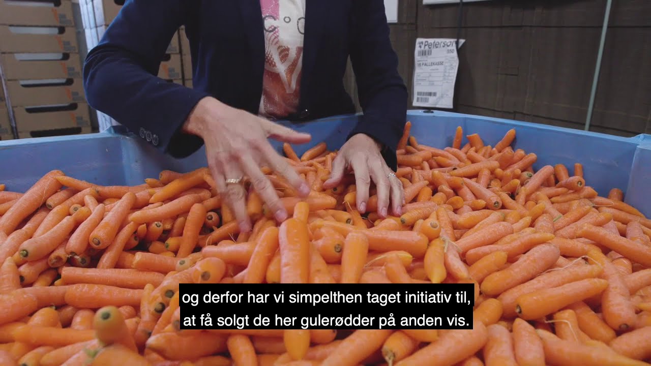 Sk&aelig;ve guler&oslash;dder mod madspild