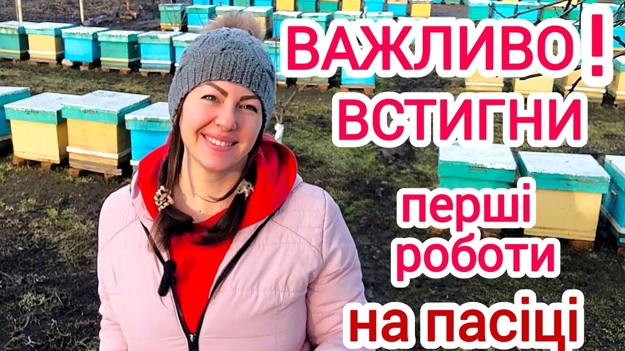2026 СТАРТ. Перші весняні роботи на пасіці. Алгоритм дій бджоляра.