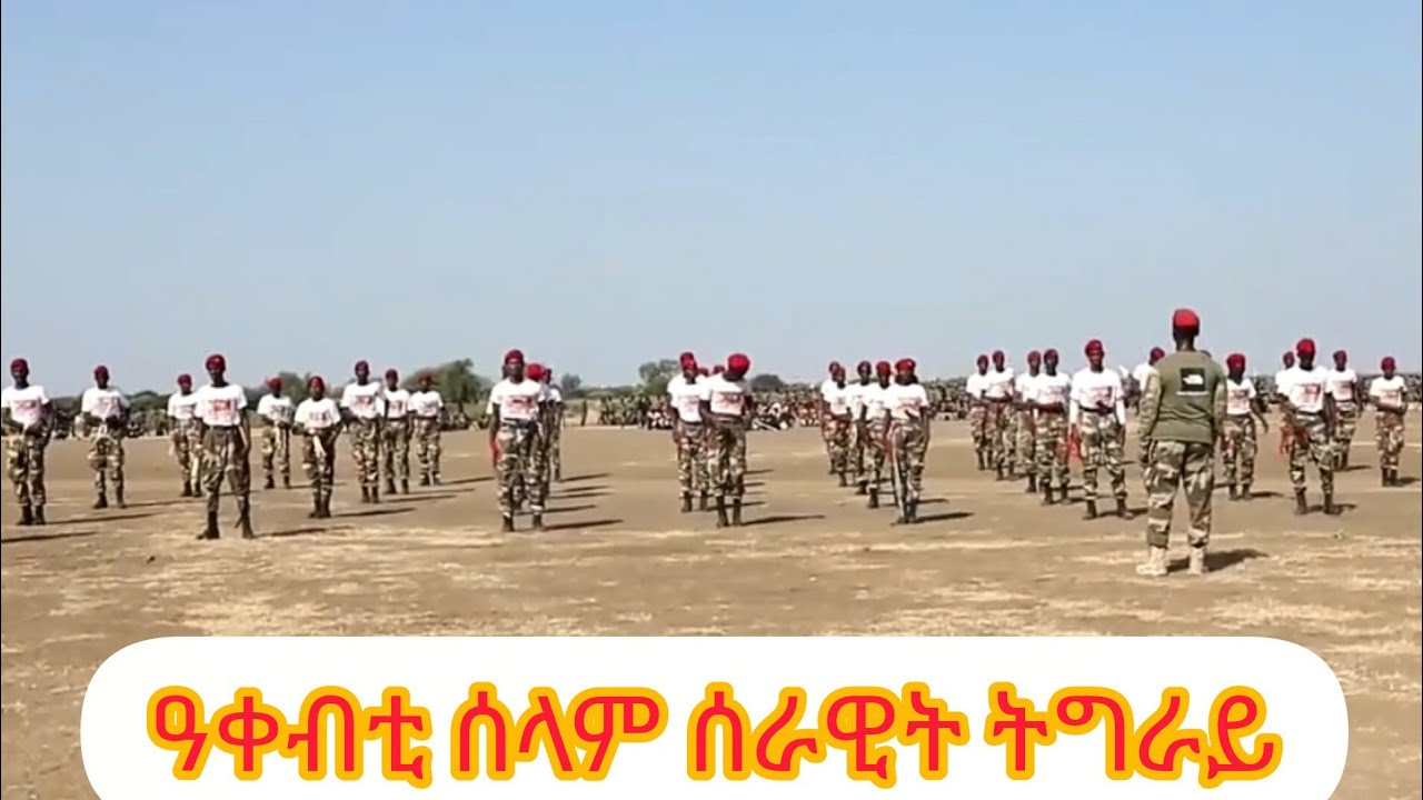 ኩማንዶታት ሰላም ትግራይ