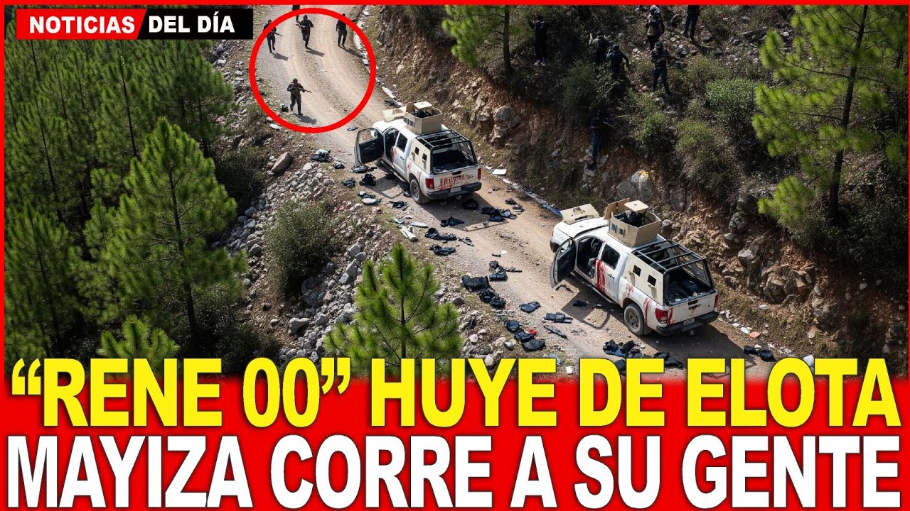 LA MAYIZA ARRASA La Cruz: 