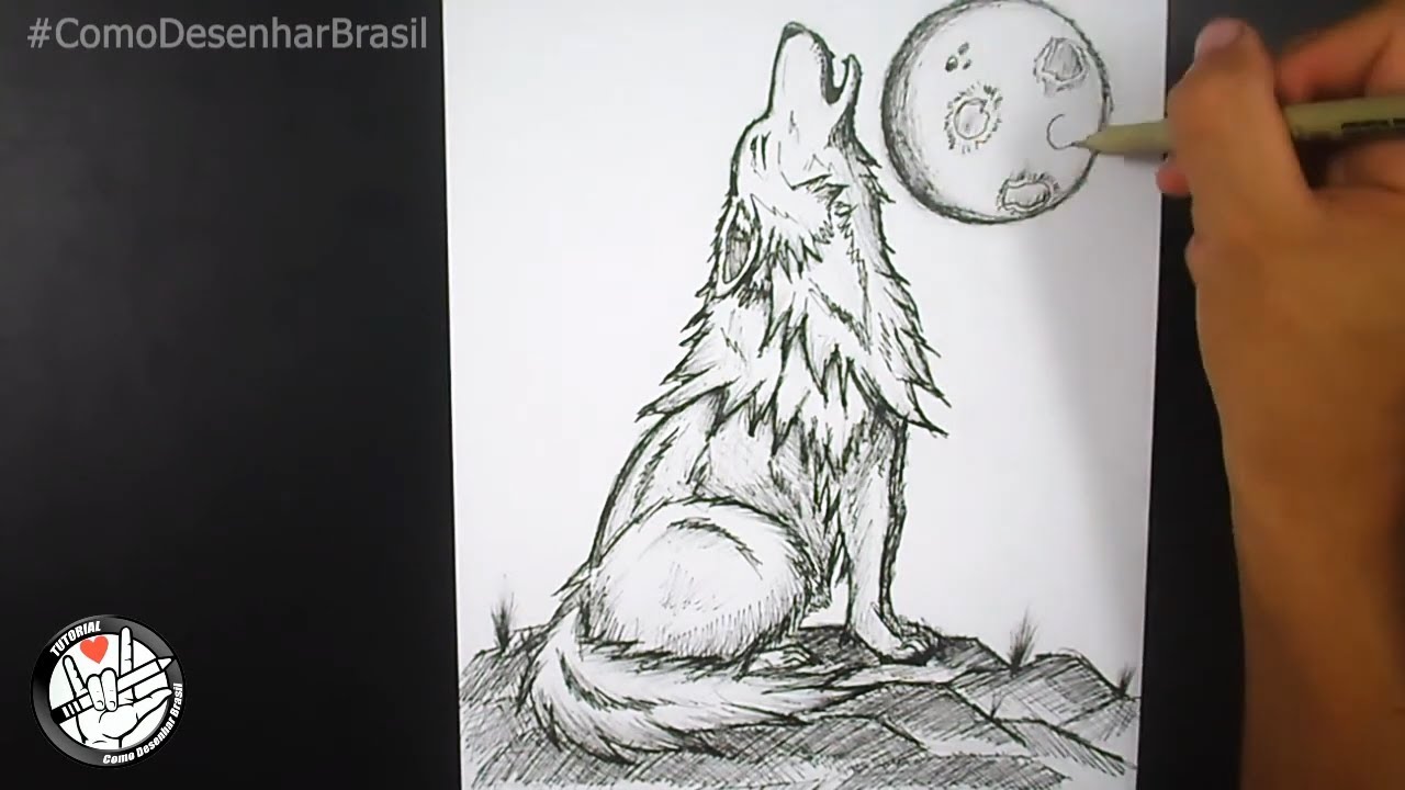 Come disegnare un lupo che disegna un lupo