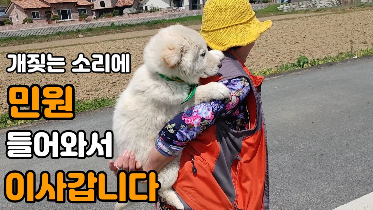 복순이♥복실이  이사가는날