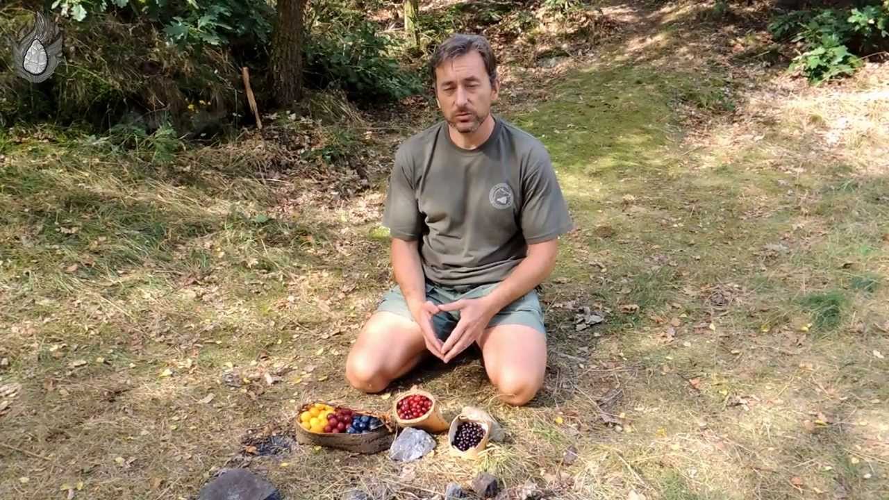 Stone Age Skills - Wild fruit processing