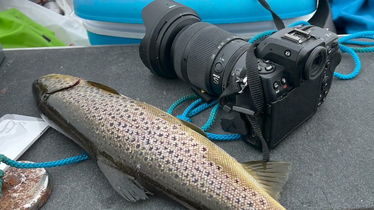 Fishing trout in Hand&oslash;l   2023