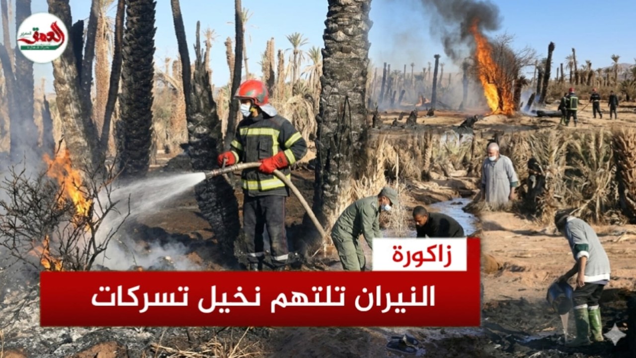 حريق مهول بواحة “تسركات” يستنفر السلطات نواحي زاكورة